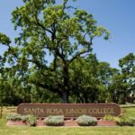 WhatsApp Image 2022-09-09 at 12.07.07 (3)