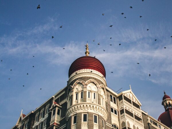 pexels-arju-babu-3587030