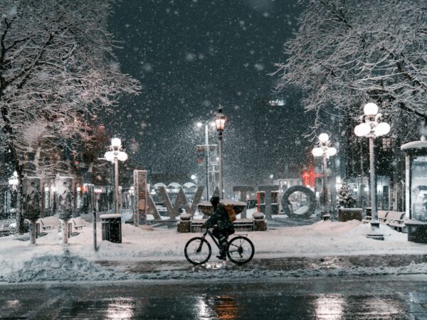 pexels-twelve-visualz-11412857